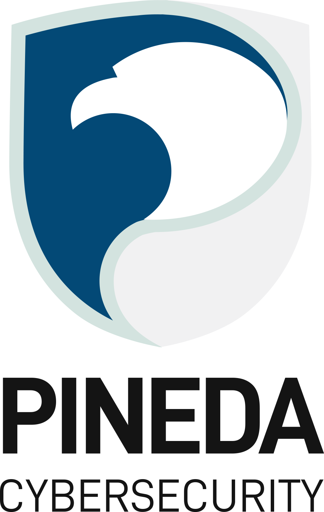 Pineda Cybersecurity